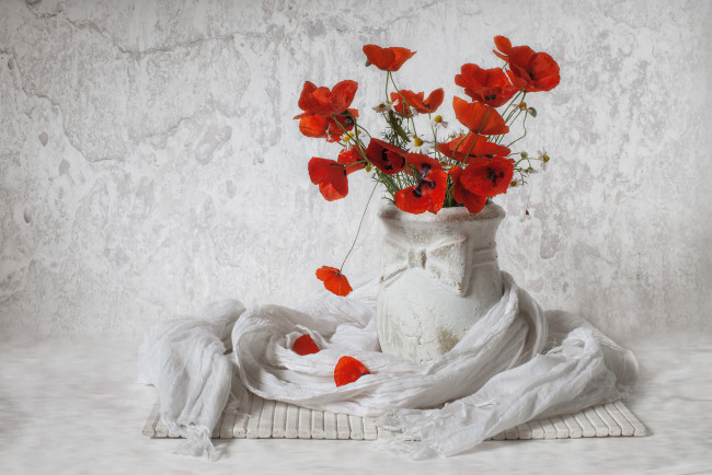 Обои картинки фото цветы, луговые , полевые,  цветы, маки, шарф, ваза