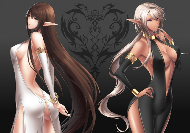 Обои картинки фото pixiv fantasia,  sword regalia, аниме, наряд, девушки, эльфийки