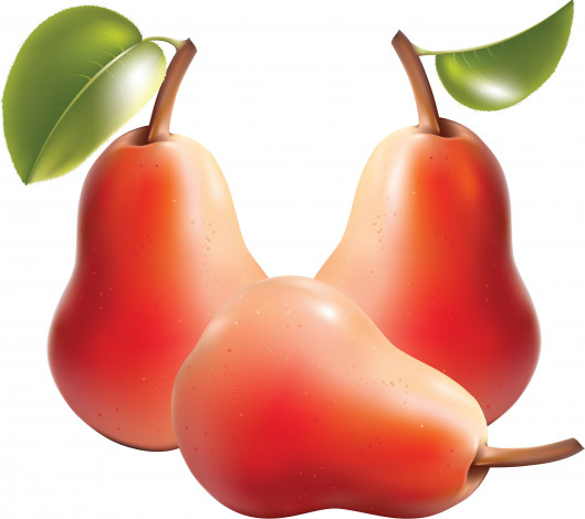 Обои картинки фото векторная графика, еда, груши, листья, фон