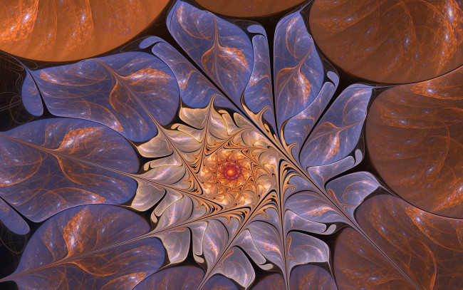 Обои картинки фото 3д графика, фракталы , fractal, цвета, фон, узор