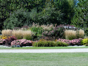 Картинка природа парк лужайка клумба