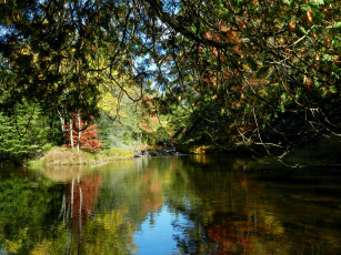 Картинка природа реки озера отражение