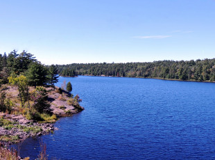 Картинка природа реки озера вода река лес