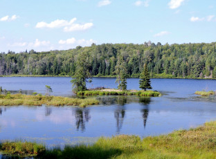 Картинка природа реки озера островок река деревья