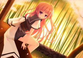 Картинка аниме unknown +другое взгляд фон девушка