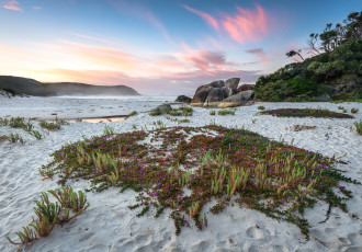 Картинка природа побережье берег море