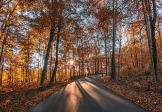 Картинка природа дороги тракт