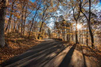 Картинка природа дороги тракт