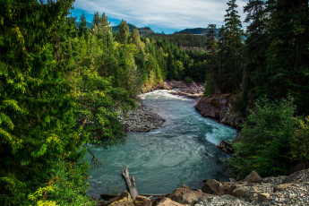 Картинка природа реки озера лес река