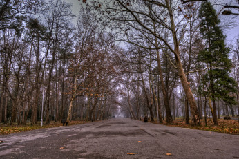 Картинка природа дороги тракт