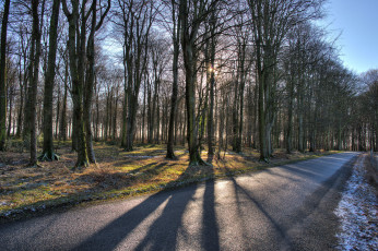 Картинка природа дороги тракт