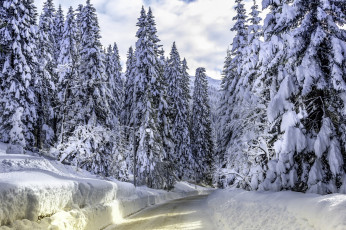 Картинка природа зима снег