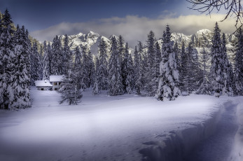 Картинка природа зима снег