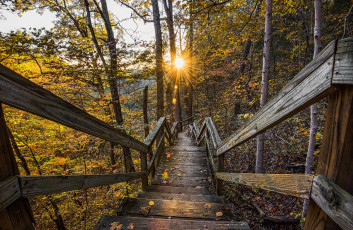 Картинка природа дороги тракт