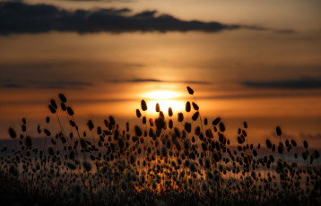 Картинка природа восходы закаты рассвет