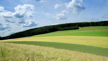 Картинка природа поля облака