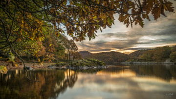 Картинка природа реки озера река лес