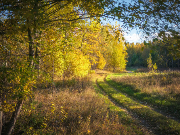 Обои картинки фото природа, дороги, тракт