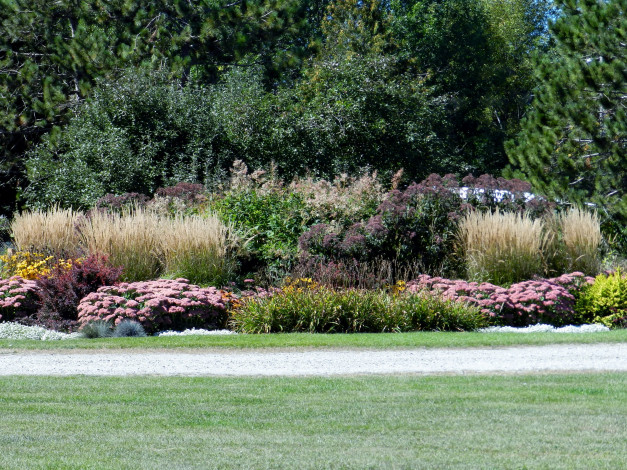 Обои картинки фото природа, парк, лужайка, клумба