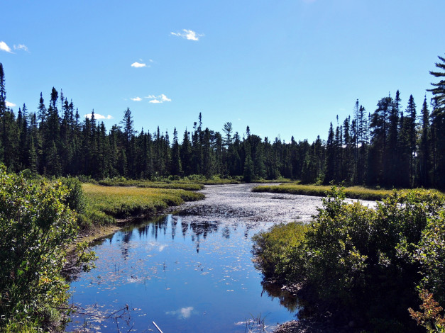 Обои картинки фото природа, реки, озера, лес, река, вода