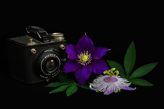 Обои картинки фото бренды, бренды фотоаппаратов , разное, фотокамера