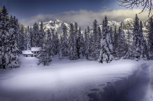 Обои картинки фото природа, зима, снег