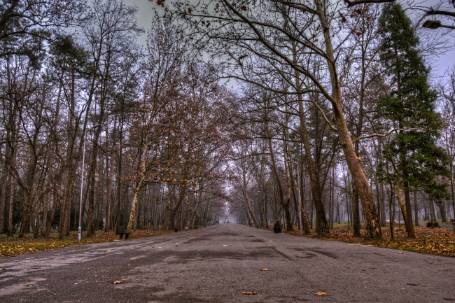 Обои картинки фото природа, дороги, тракт