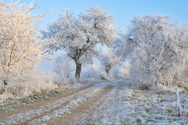 Обои картинки фото природа, дороги, тракт