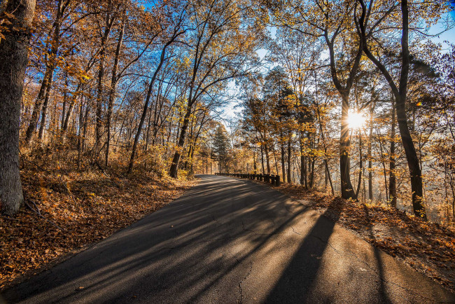 Обои картинки фото природа, дороги, тракт