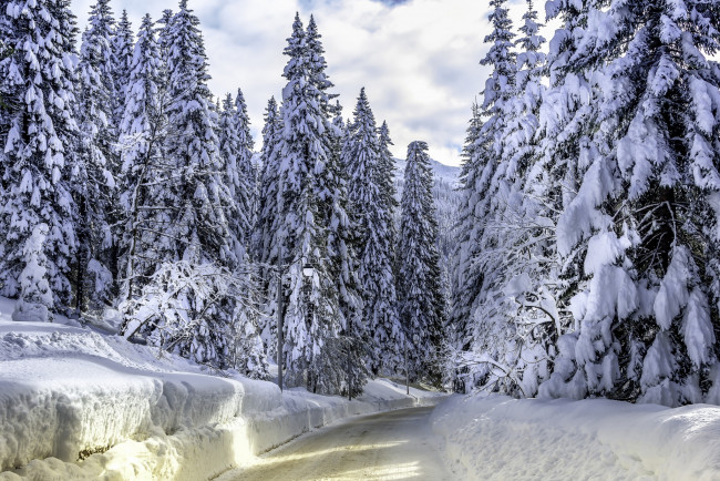 Обои картинки фото природа, зима, снег