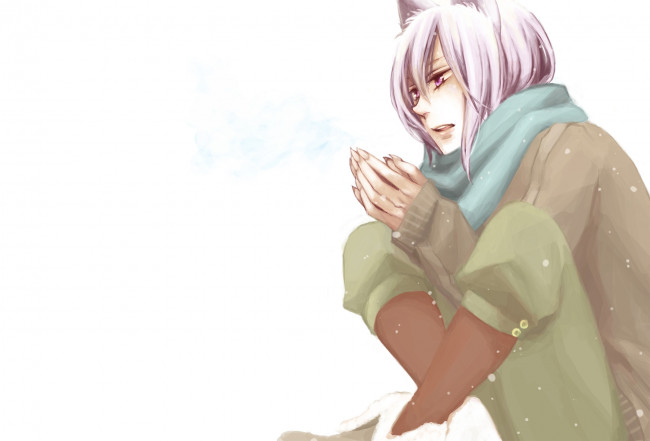 Обои картинки фото аниме, kamisama hajimemashita, tomoe