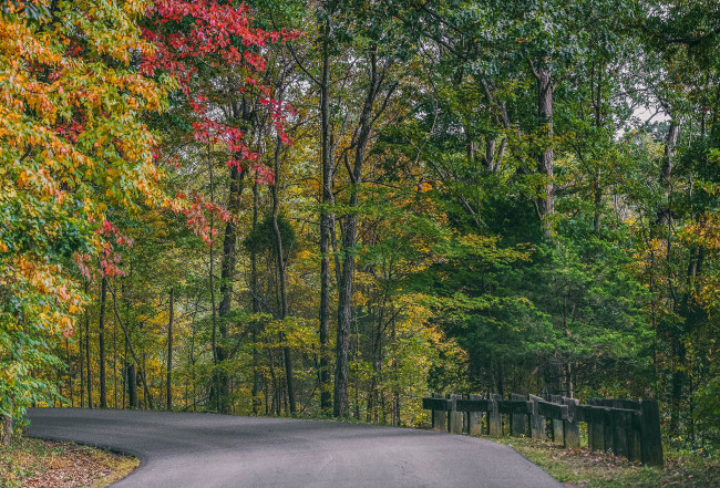 Обои картинки фото природа, дороги, тракт