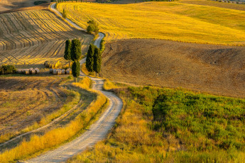 Картинка природа дороги простор