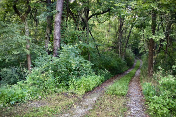 Картинка природа дороги простор