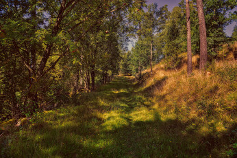 Картинка природа дороги простор