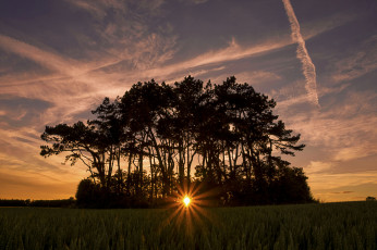 Картинка природа пейзажи простор