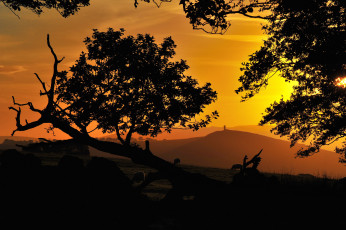 Картинка природа пейзажи простор