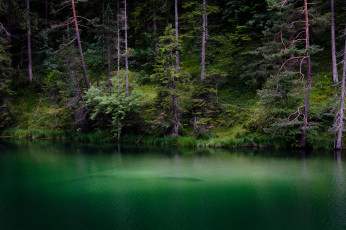 Картинка природа реки озера простор