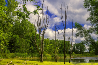 Картинка природа реки озера простор