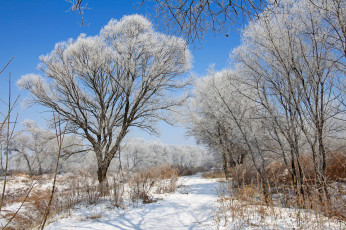 Картинка природа зима простор