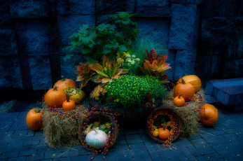 Картинка еда натюрморт снедь