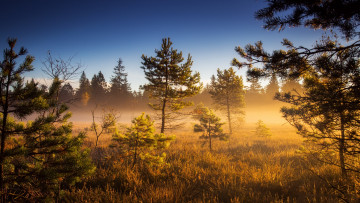 Картинка природа восходы закаты простор