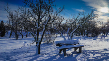 Картинка природа зима простор