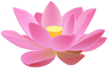 Картинка векторная+графика цветы+ flowers фон лотос лепестки