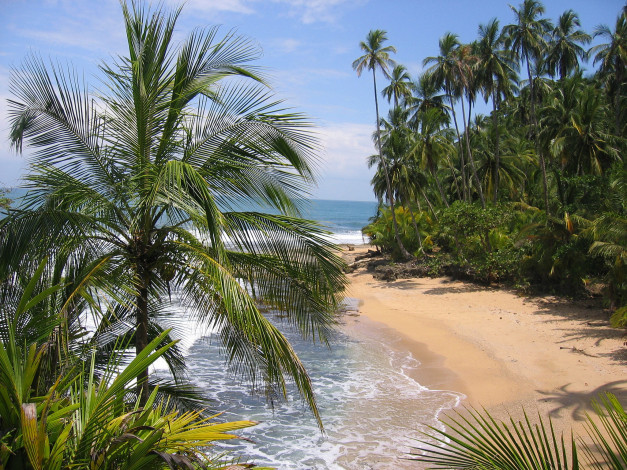 Обои картинки фото природа, тропики, простор