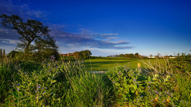 Обои картинки фото природа, пейзажи, простор