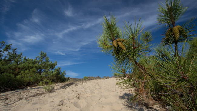 Обои картинки фото природа, пейзажи, простор