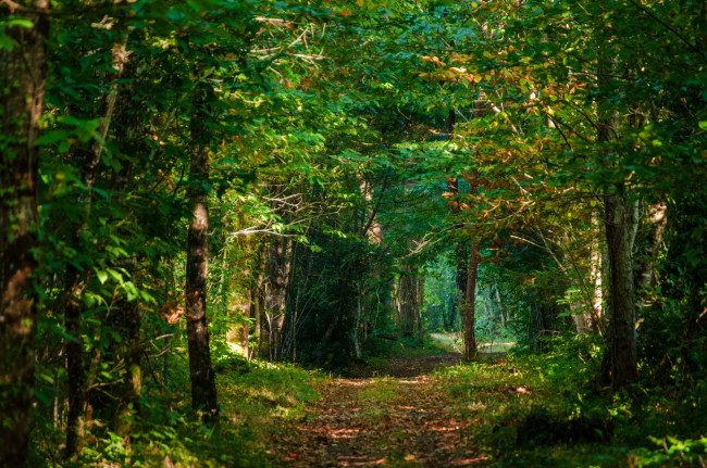 Обои картинки фото природа, дороги, простор