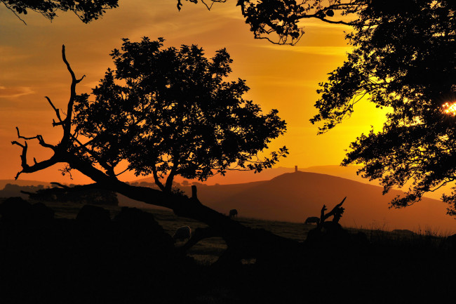 Обои картинки фото природа, пейзажи, простор