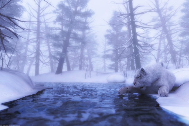 Обои картинки фото 3д графика, животные , animals, тигр, река, лес